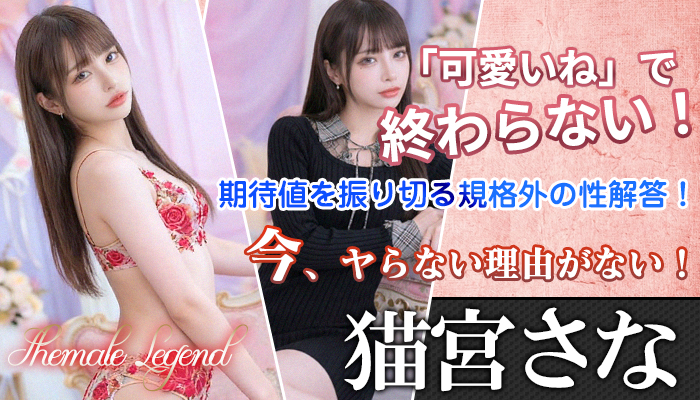 新人【猫宮さな】ちゃん！シーメールレジェンドに入店でございます！